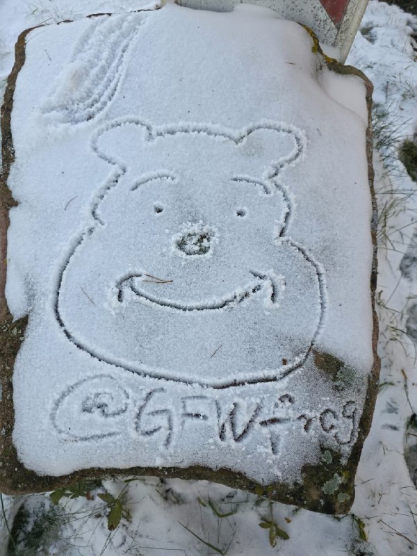 总有一天，我也要变成