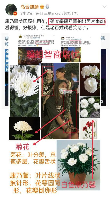 粉蛆连它们天天都在舔的花长什么样都不知道？！