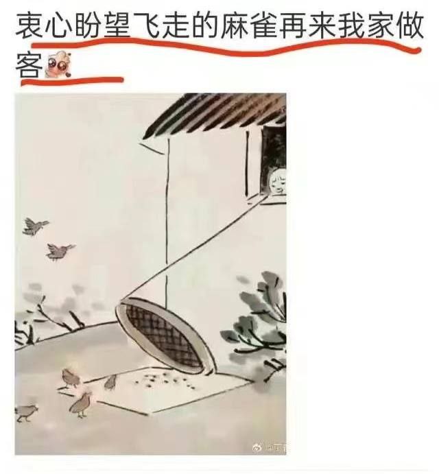 外资们快回来吧😁via CCP bandit