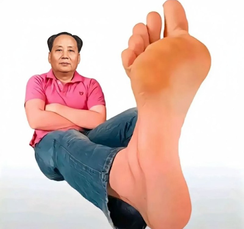 东北毛哥😎 匿名投