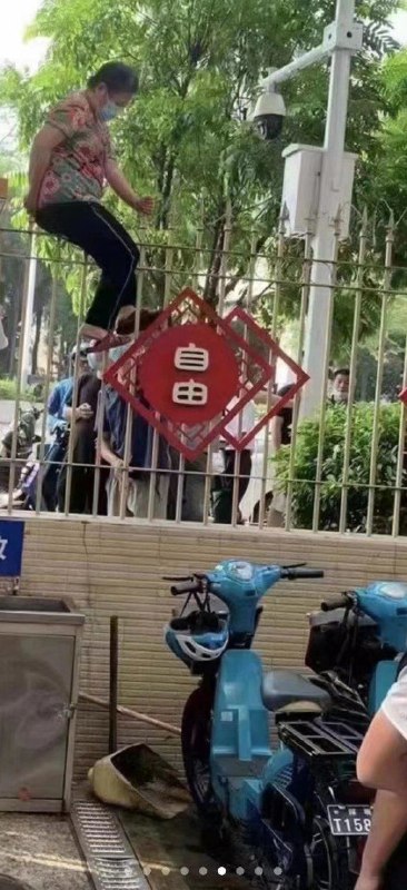 攒了好久的普利策合集这是第一集！#CN普利策#恶意合订By