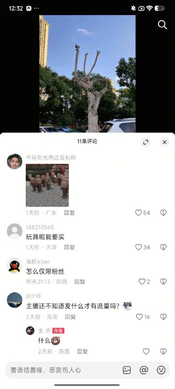 OK🌲👤 来自