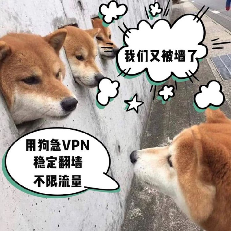 炒作起来了用下半身思考的狗头人们，现在上不了p**的你是不是如同这群小狗一样......