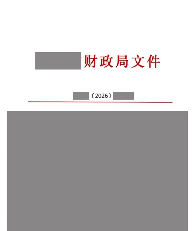 🇹🇼 揭開財政遮