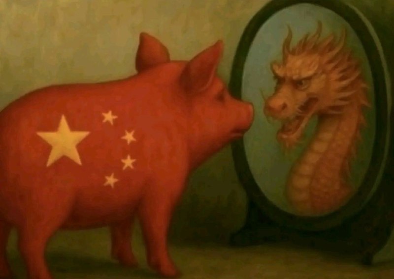 🕶️ 匿名投稿#讲好中国故事