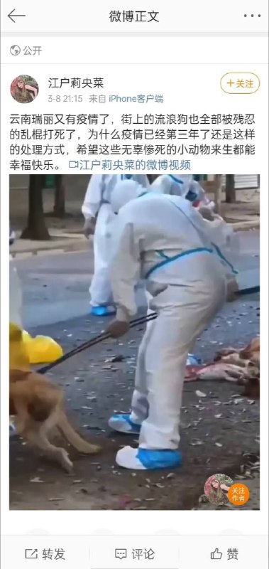 警惕拜登打狗牌！By