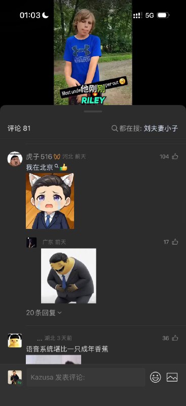 墙内高级辱包