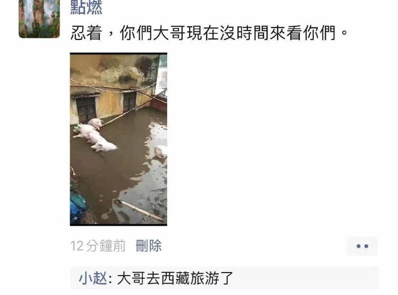 萨格尔王勇闯西藏🐷