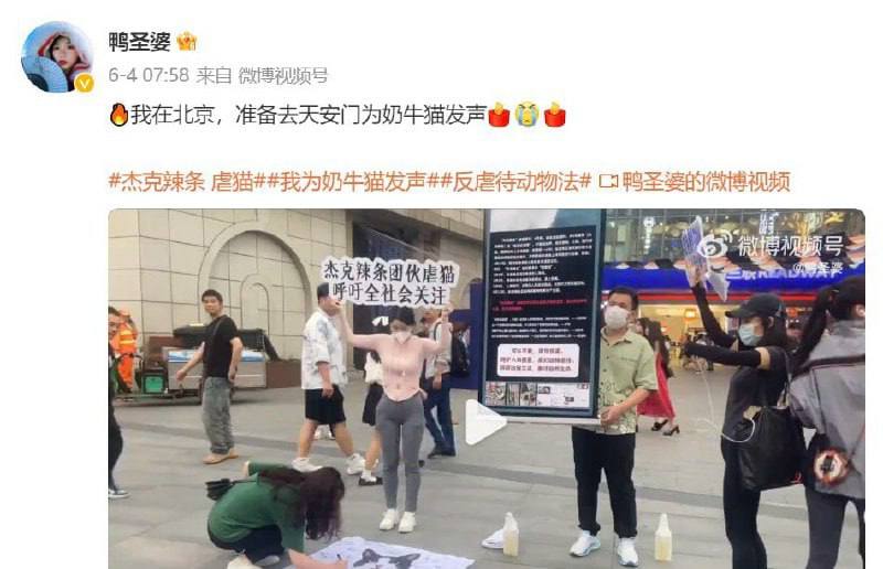 怎么爱猫人士也来了�
