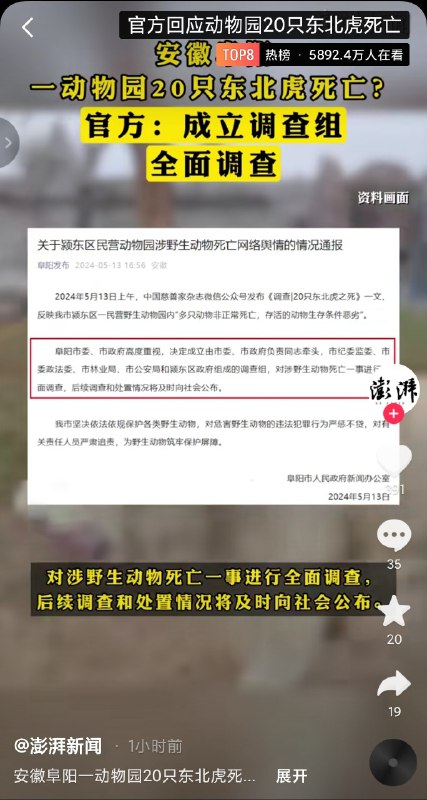 "丫丫我们来接你回家