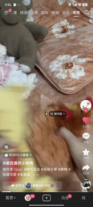 抖音上的“团派运动”一只维尼熊被一只公鸡踹开的视频评论区依旧被关闭我不知道群u们对于胡锦涛的评价是怎么样，我觉得他算挺好的了🕶️ 匿名投稿抖音上的“团派运动”一只维尼熊被一只公鸡踹开的视频评论区依旧被关闭我不知道群u们对于胡锦涛的评价是怎么样，我觉得他算挺好的了🕶️ 匿名投稿