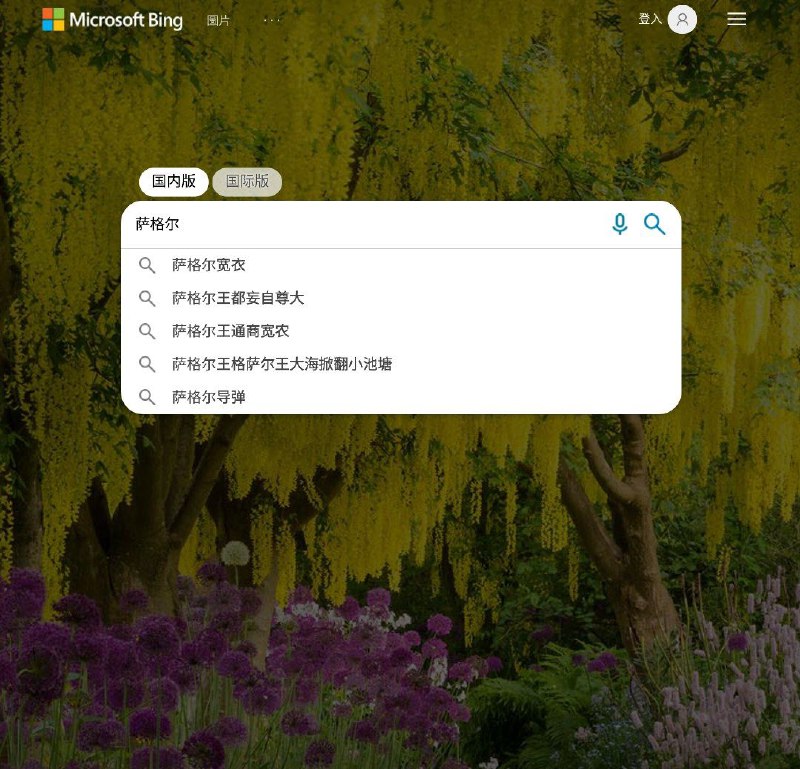 必应你整改了个几把毛😡#资本你坏事做尽 By 匿名投稿