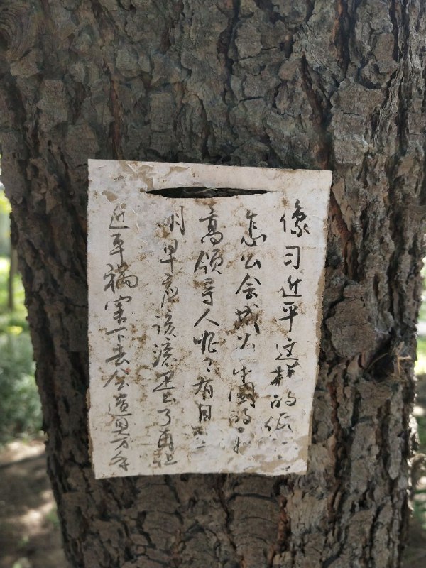 在墙国某公园遛狗，看到树上有人挂了让习近平引咎辞职下台滚蛋的纸牌By