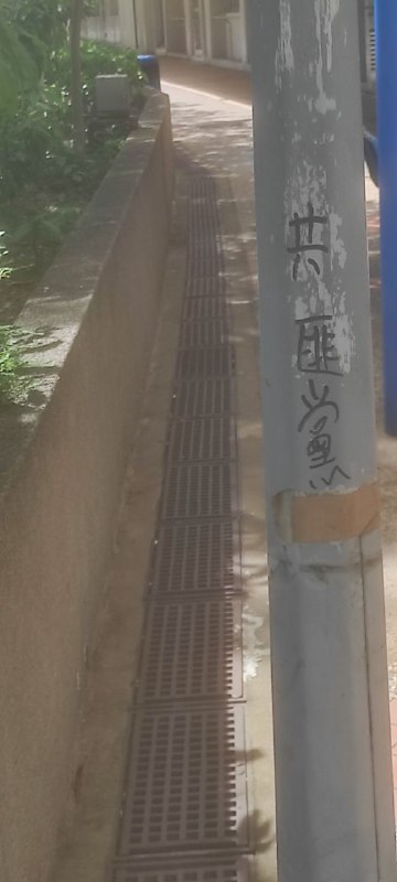 座標香港九龍By