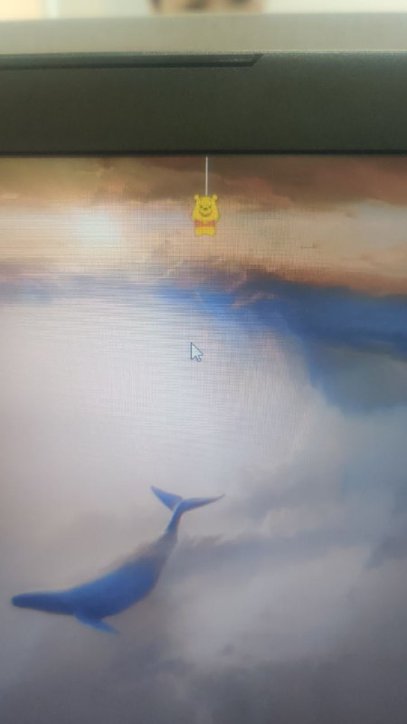 乳华软件，上吊维尼熊