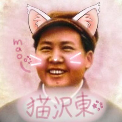 猫沢東😁😂😂😂By