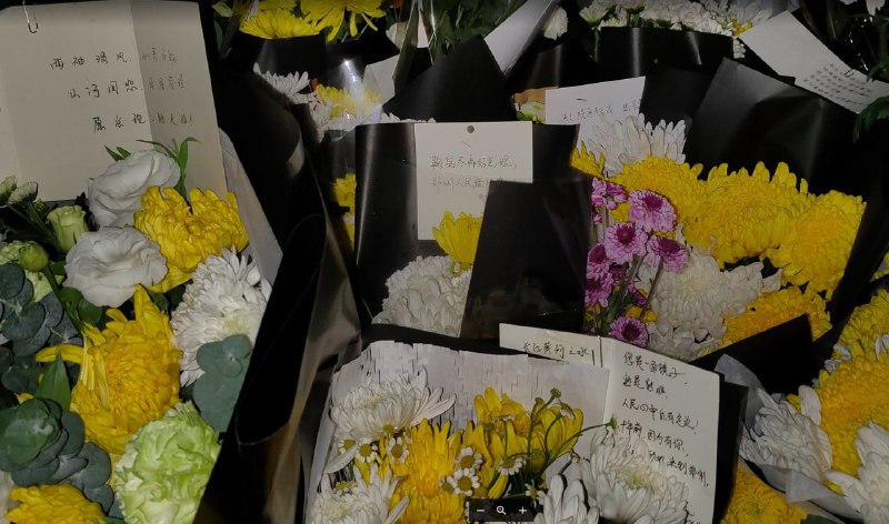 人在做,天在看,王八蛋终究会滚蛋!集权、独裁必将被扫进历史的垃圾堆!@习近平  说你呢投稿By