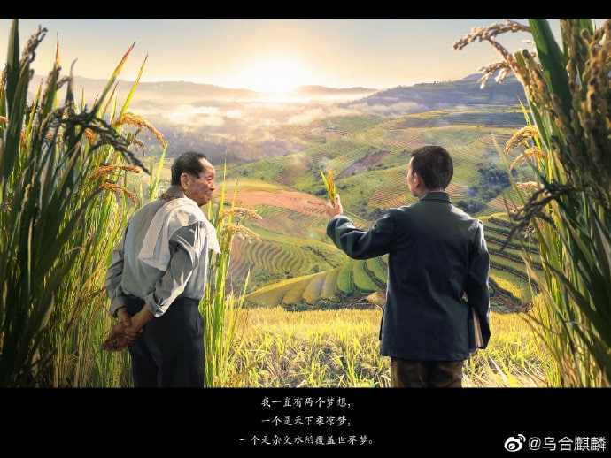 五河琴里新画五河琴里新画