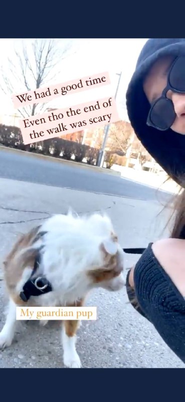 手足加拿大遇共特跟踪险遭不测 后IG晒当日出游照