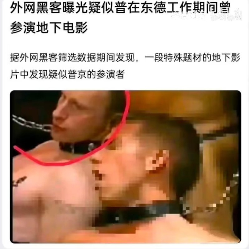 知乎提问：为什么普京