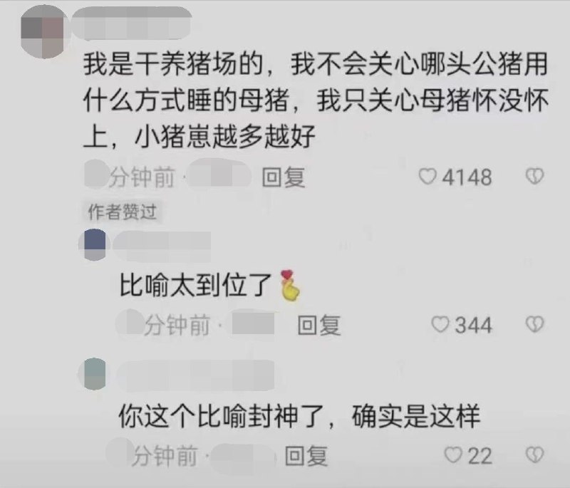 《习近平思想指导母猪分娩》投稿By