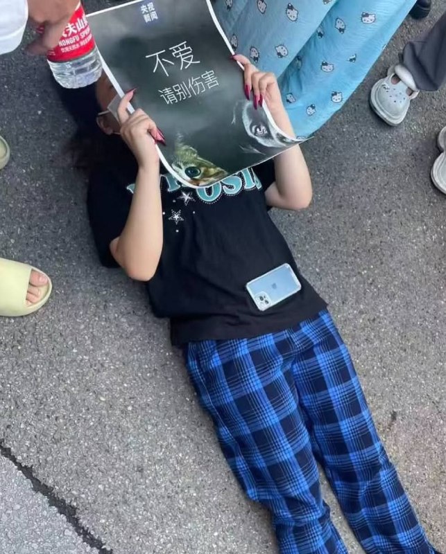 重庆虐狗事件，民众持