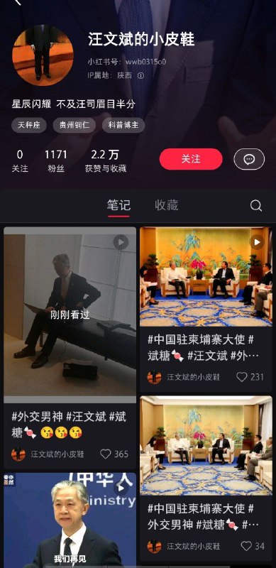 论集美们如何追星By