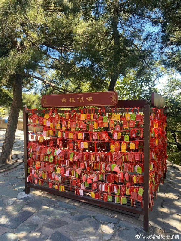 生育率现状投稿By