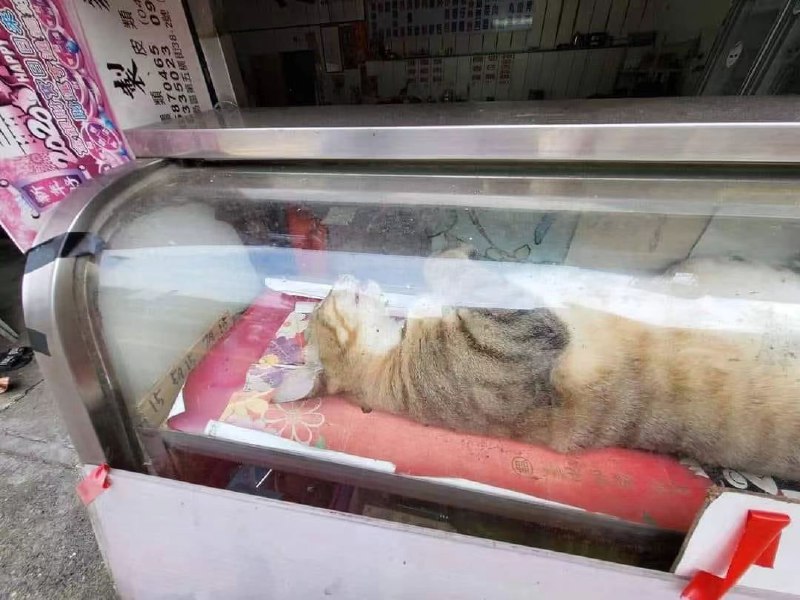 😎 匿名投稿
