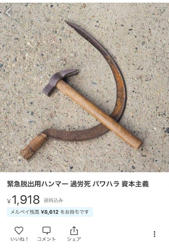价格实惠By:匿名投