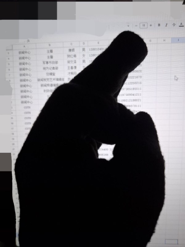 #大自爆运动 央视吹哨人的话