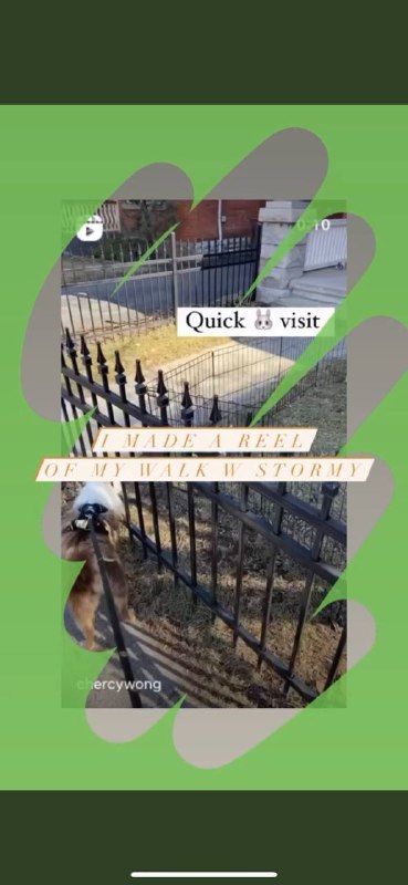 手足加拿大遇共特跟踪险遭不测 后IG晒当日出游照