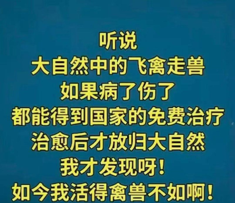 🕶️ 匿名投稿