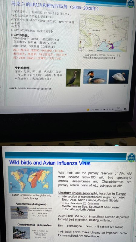 国内有人翻译了一下俄罗斯公布的乌克兰生物实验室文件，指出这就是很普通的研究报告