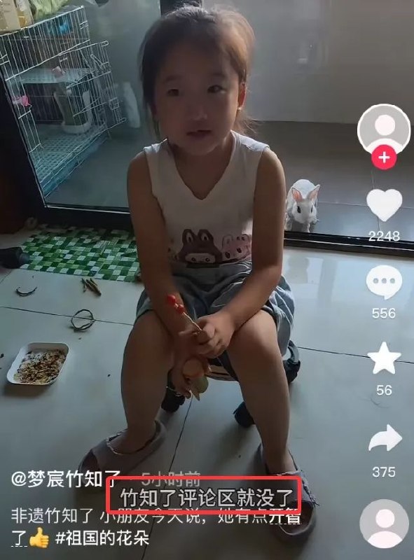 中国没有言论自由，竹