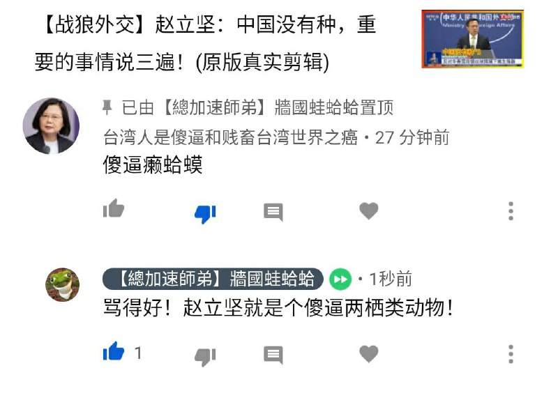 他骂的究竟是江泽民还是赵立坚啊？传送门🚪