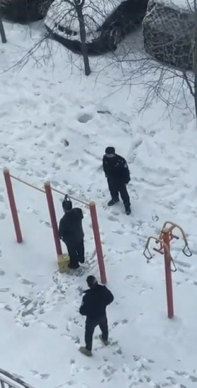 给『假新闻』补一张图