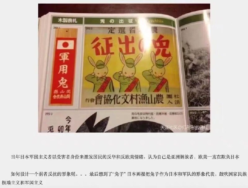 纳兔的祖先（估计这文章又要没了🙏By