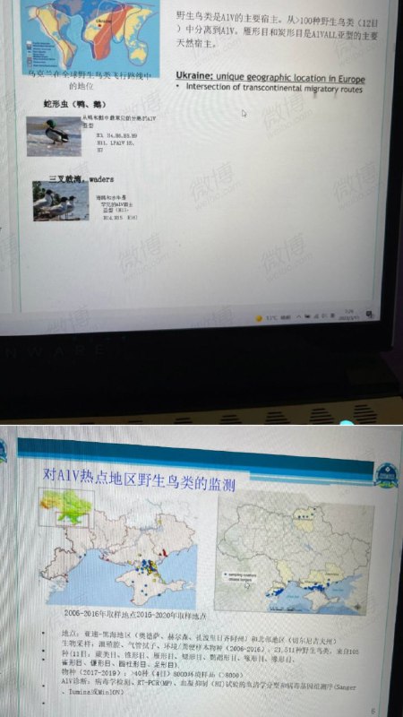 国内有人翻译了一下俄罗斯公布的乌克兰生物实验室文件，指出这就是很普通的研究报告