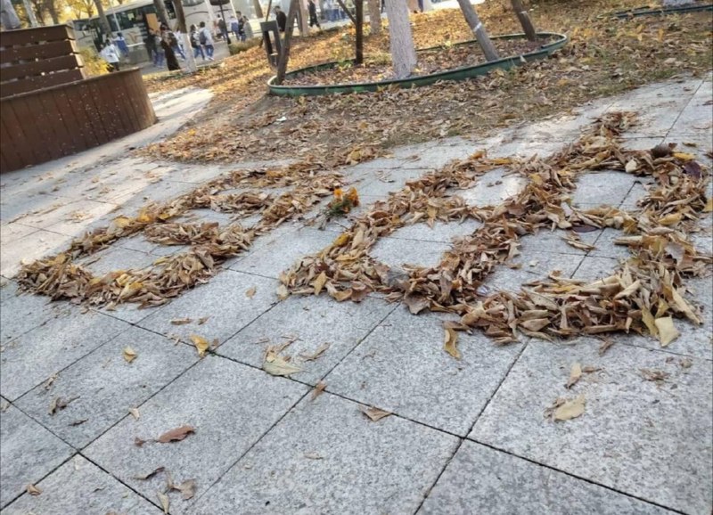 辱包势力宣布对事件负责投稿By