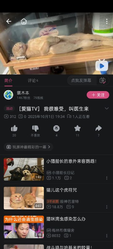 🕶️ 匿名投稿猫咪