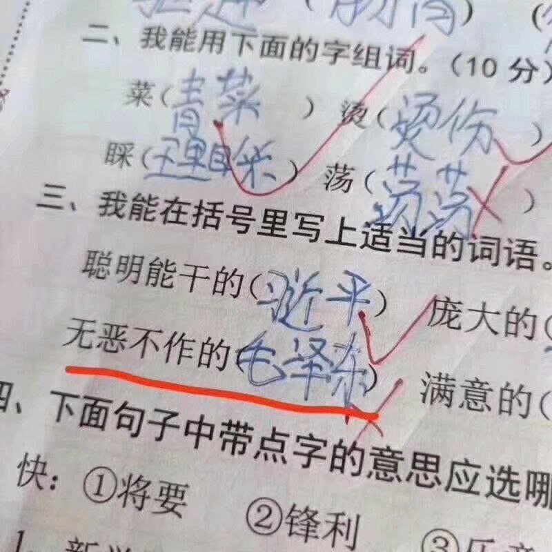 小学生中的铁杆苞米B