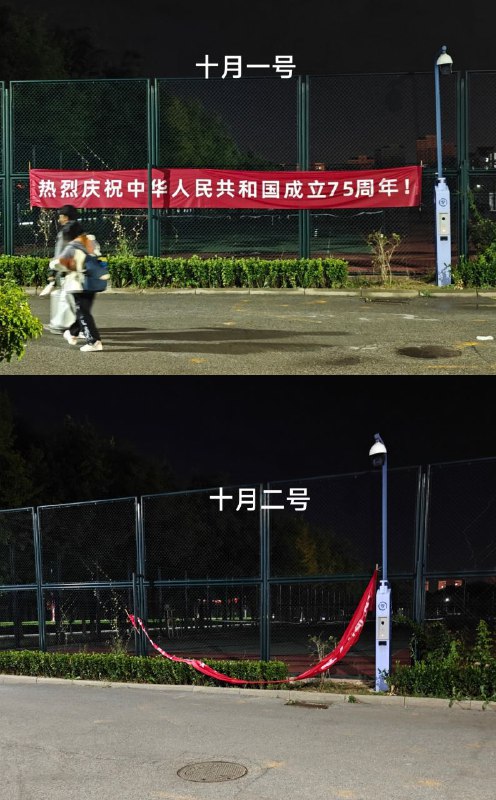 我不由得大笑起来By