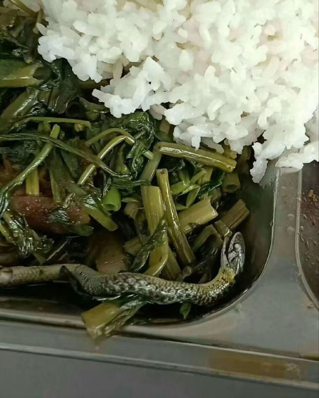 中国的学校食堂,你永