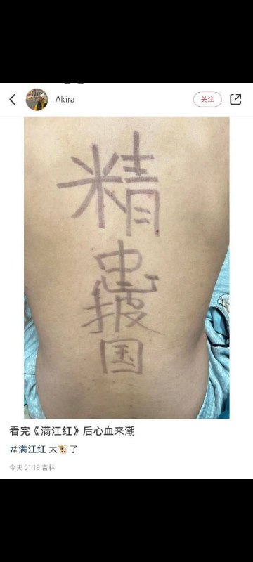 《精忠虫披国》By