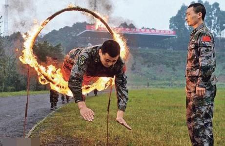 狗狗们🐶好棒！作风优良，能打胜仗！狗狗们🐶好棒！作风优良，能打胜仗！