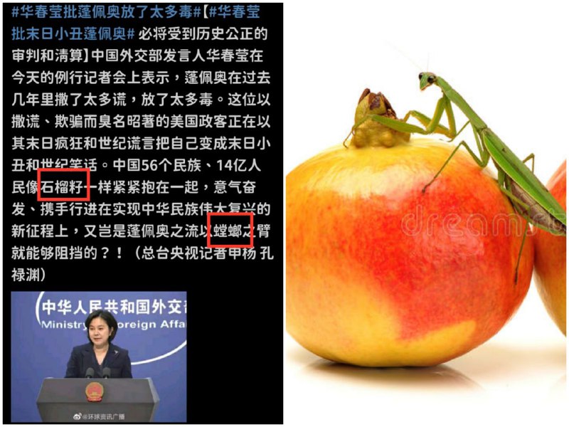石榴哪来的自信对螳螂放狠话，真把自己当坦克了？！
