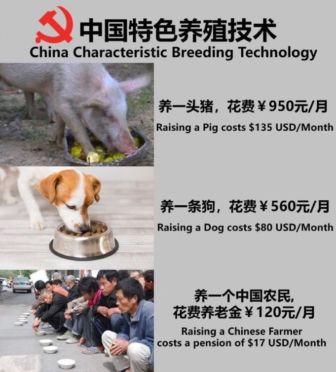 中国特色养殖技术天梯图