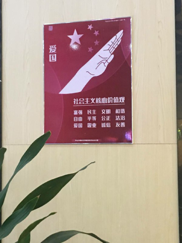 很爱国🇨🇳的手势，谢谢中共分享！很爱国🇨🇳的手势，谢谢中共分享！