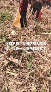 靠恁娘!俺捡嘞!善良正直勤劳智慧的中国人投稿By